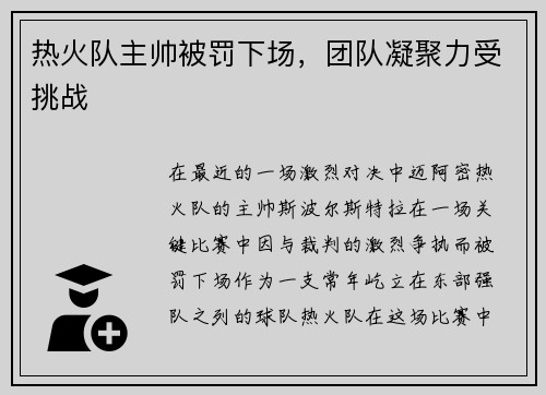 热火队主帅被罚下场，团队凝聚力受挑战